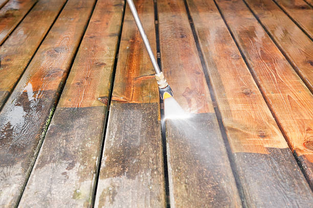 Animal Enclosure Cleaning in Perry Park, CO